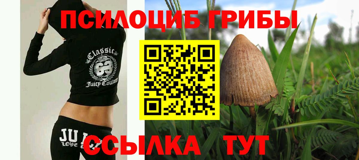 Галлюциногенные грибы мухоморы  Вход с VPN  Кулебаки 